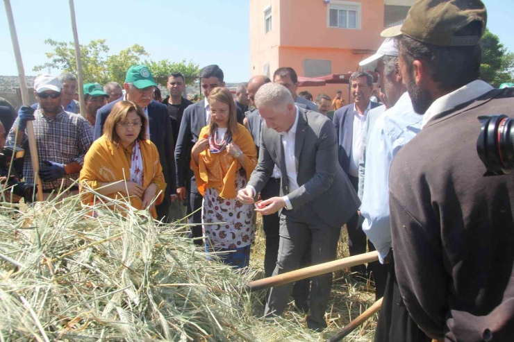 Araban’da Festival Coşkusu