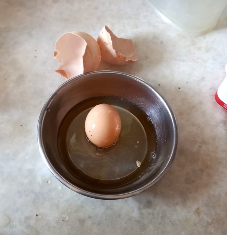 Yumurta İçinde Yumurta Çıktı