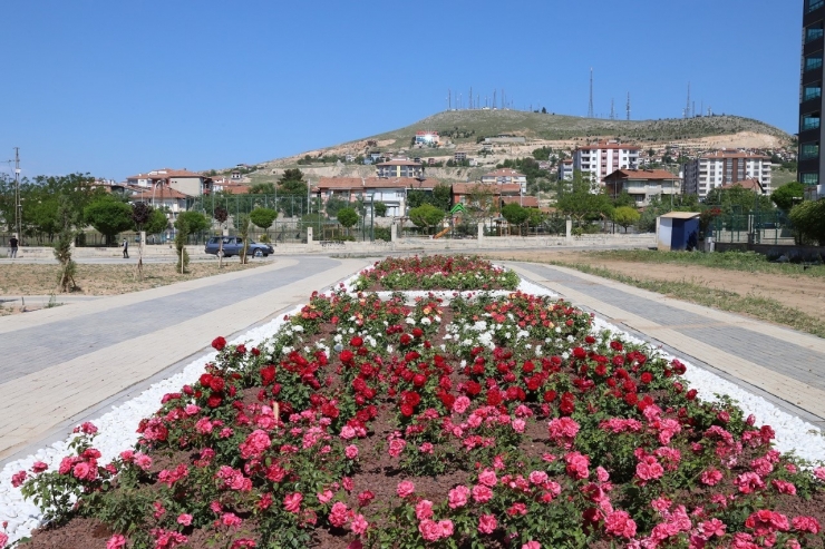 Battalgazi’deki Gül Bahçesinin Yüzde 75’i Tamamlandı