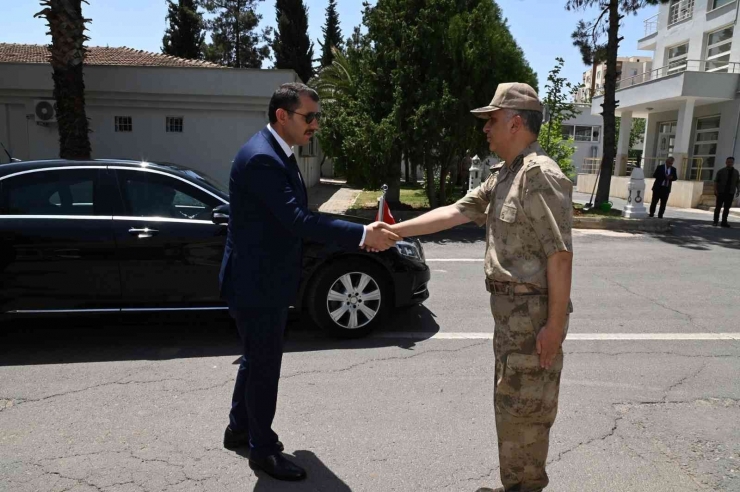 Vali Ayhan Mehmetçik İle Birlikte Ağaç Dikti