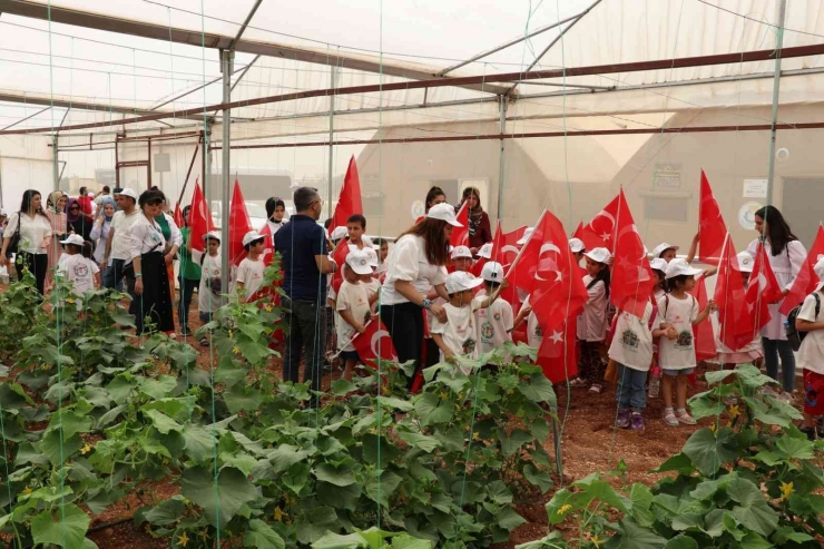 Şanlıurfa’da Dünya Çevre Günü Etkinlikleri