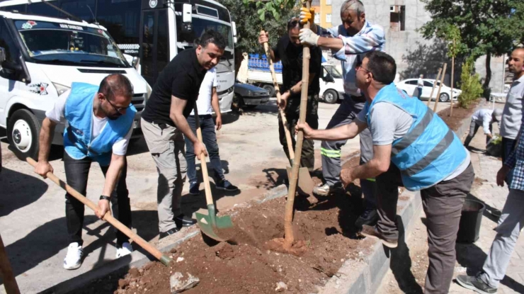 Hayvan Severler Çevre Gününde Ağaç Dikti