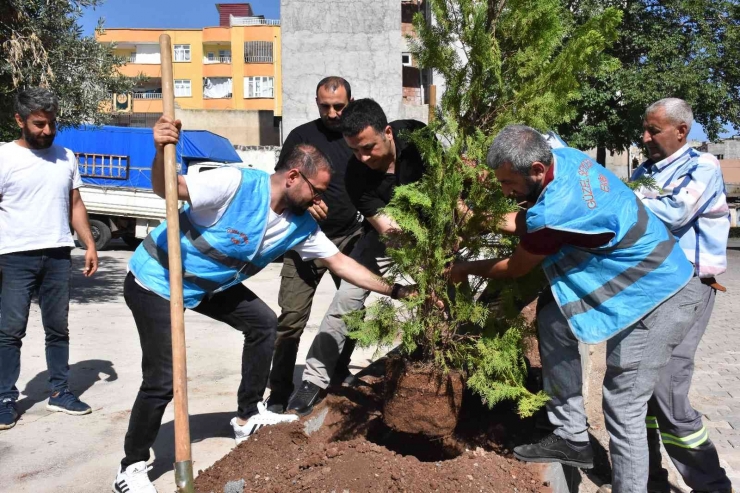 Hayvan Severler Çevre Gününde Ağaç Dikti