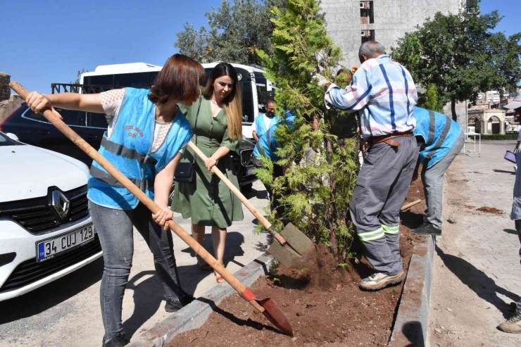 Hayvan Severler Çevre Gününde Ağaç Dikti