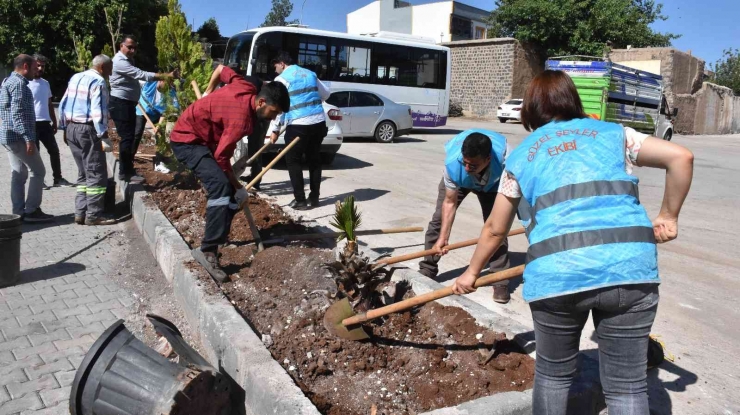 Hayvan Severler Çevre Gününde Ağaç Dikti