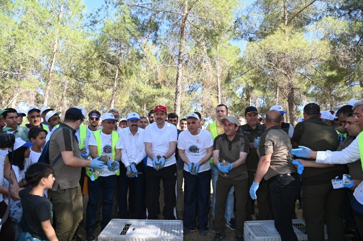 Vali Ayhan, Çevre Haftası Etkinliğinde Yürüyüş Yaptı