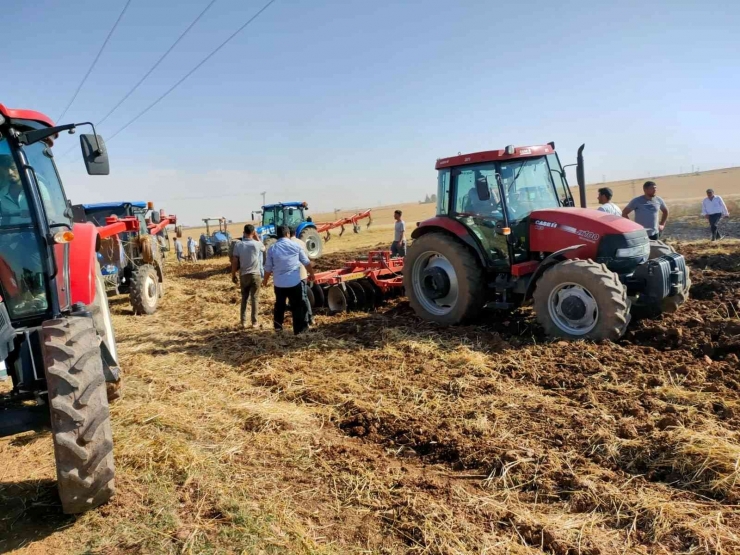 Şanlıurfa’da 80 Dönüm Buğday Tarlası Yandı