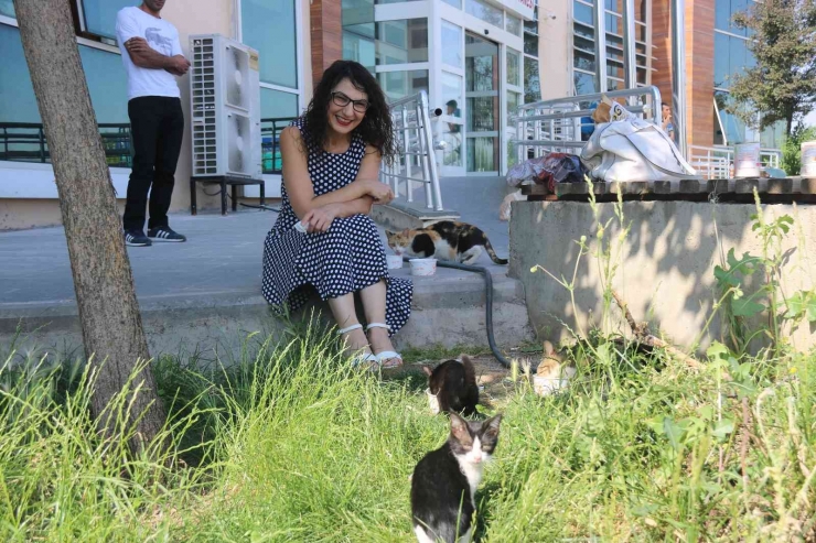 Hayvan Fobisi Olan Doktor, Şimdilerde Kedilere Mama Vermeden Kliniğine Geçmiyor