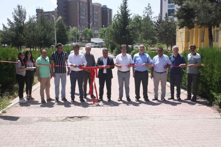 Diyarbakırlı Öğrenciler Doğaya Dikkat Çekmek İçin Sergi Düzenledi