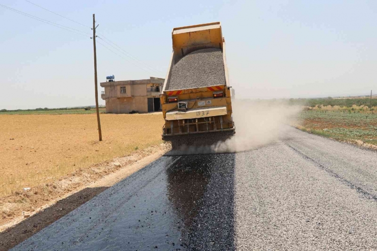 Şanlıurfa Kırsalında Asfalt Çalışması