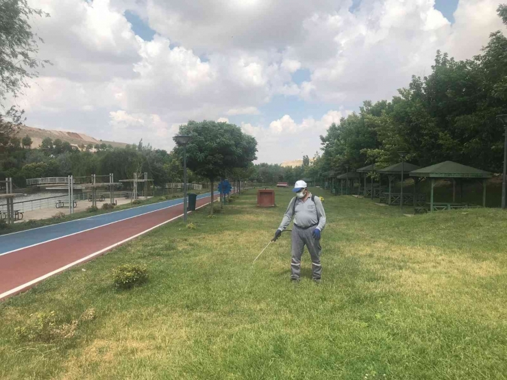 Gaziantep’te Kene Timi