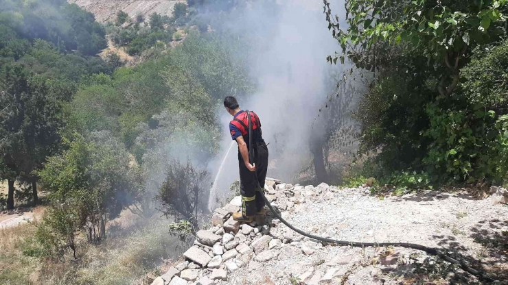 Yılan Korkusundan Bahçeyi Yaktı