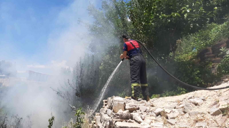 Yılan Korkusundan Bahçeyi Yaktı