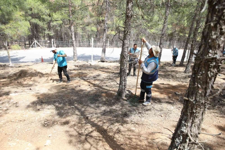 Gaziantep’te Orman Yangınlarına Karşı Tedbirler Arttı