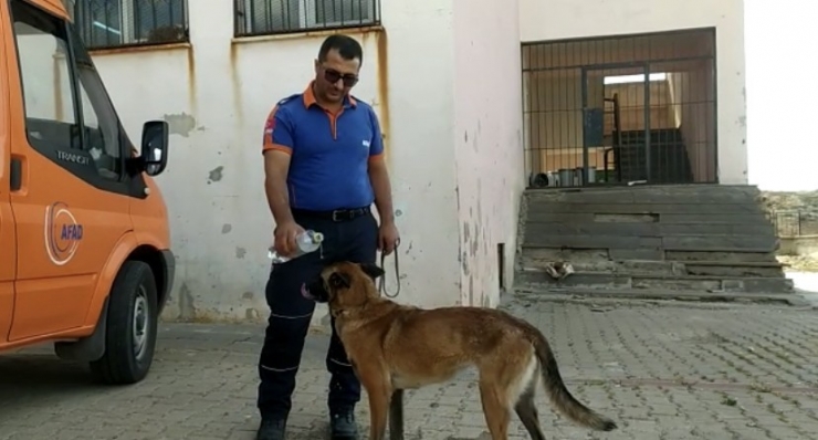 Diyarbakır’da Kayıp Epilepsi Hastası İçin Drone Ve K9 Köpeğiyle Arama Çalışması Başlatıldı