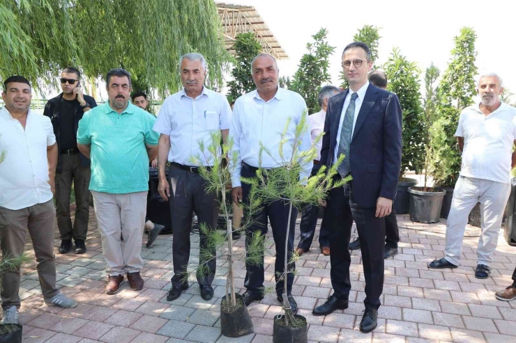 Diyarbakır’da 20 Bin Çam Fidanı Ve 500 Bin Mevsimlik Çiçek Dağıtıldı
