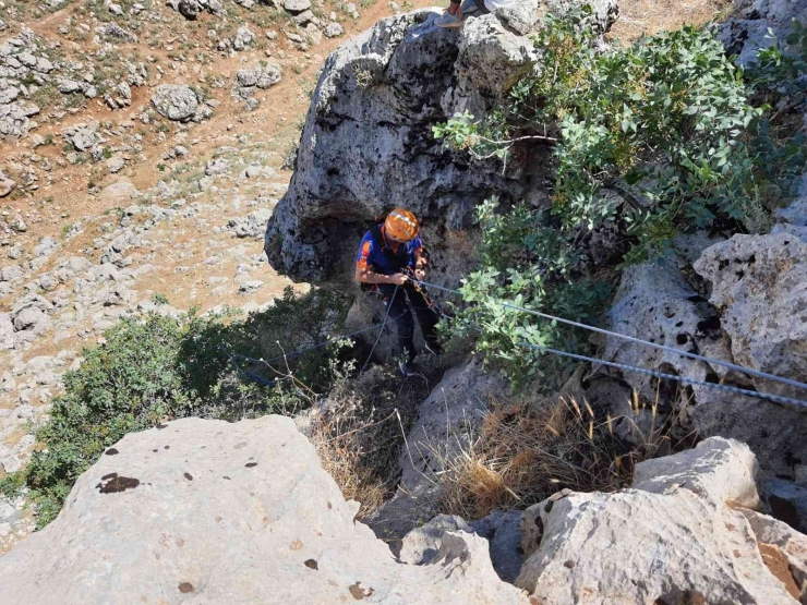 Kayalıklarda 5 Gün Mahsur Kalan 2 Keçi Afad Ekipleri Tarafından Kurtarıldı