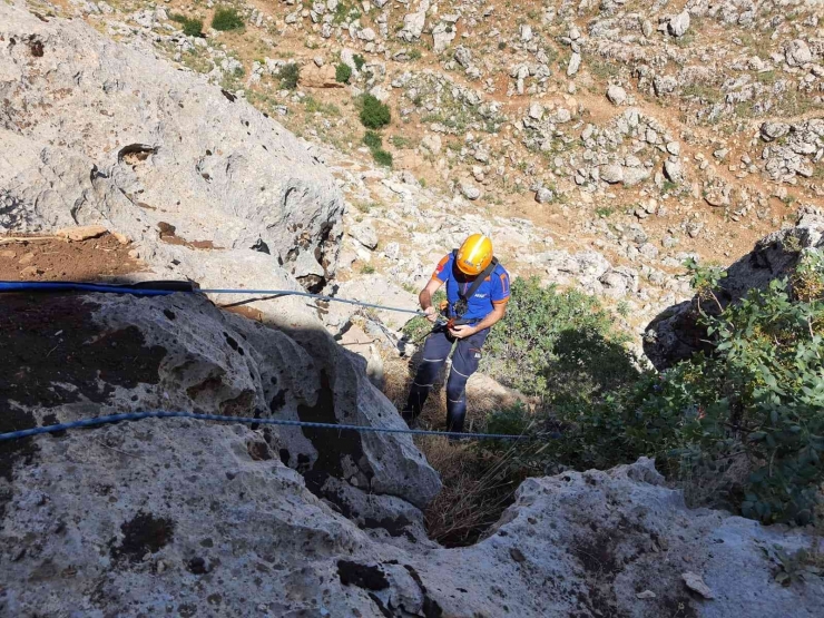 Kayalıklarda 5 Gün Mahsur Kalan 2 Keçi Afad Ekipleri Tarafından Kurtarıldı