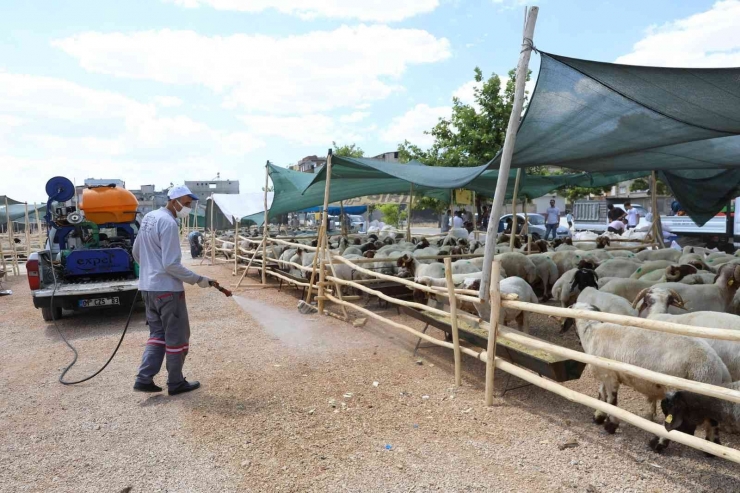 Gaziantep’te Kurban Satış Ve Kesim Yerleri İlaçlanıyor