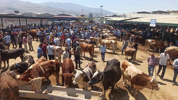 Malatya Kurban Pazarı’nda Arife Yoğunluğu