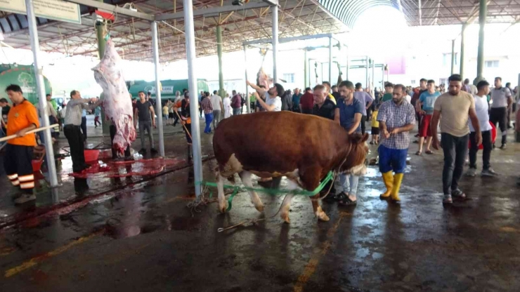 Gaziantep’te Vatandaşların Kurban Kesim Telaşı Başladı