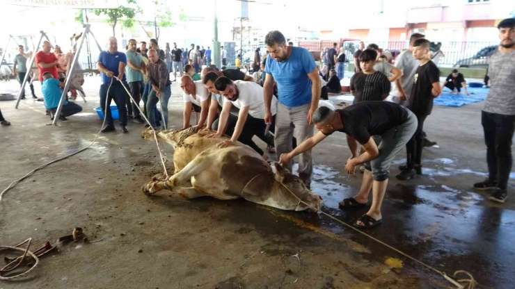 Gaziantep’te Vatandaşların Kurban Kesim Telaşı Başladı