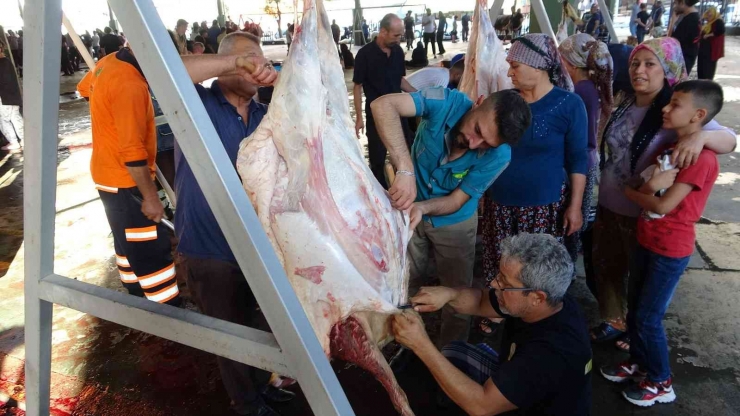 Gaziantep’te Vatandaşların Kurban Kesim Telaşı Başladı