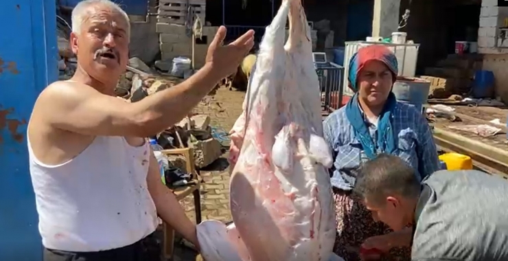 Türkülü Kurban Kesimi Gülümsetti