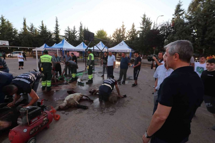 Başkan Tahmazoğlu Kurban Kesim Alanlarını Gezdi