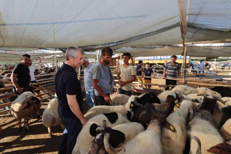 Başkan Tahmazoğlu Kurban Kesim Alanlarını Gezdi