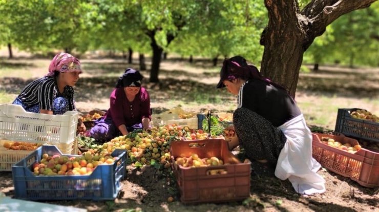 Asgari Ücretin Altında İşçi Çalıştıranlara Yasal İşlem