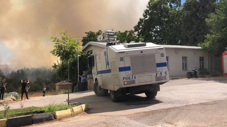 Gaziantep’te Orman Yangını