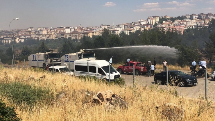 Gaziantep’te Orman Yangını