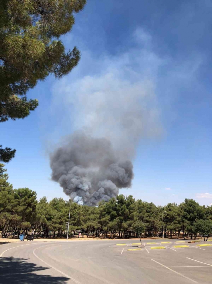 Gaziantep’te Orman Yangını