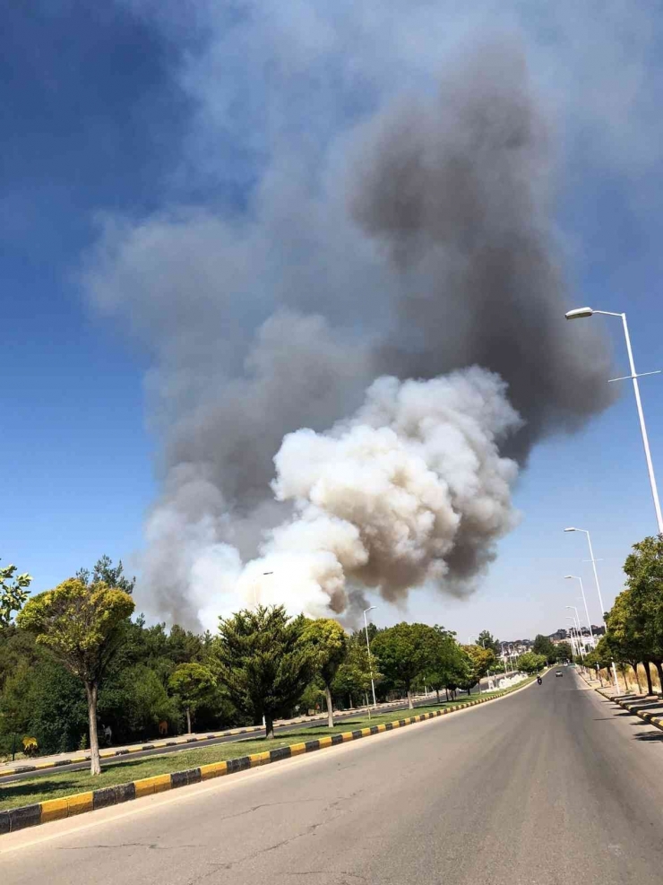 Gaziantep’te Orman Yangını