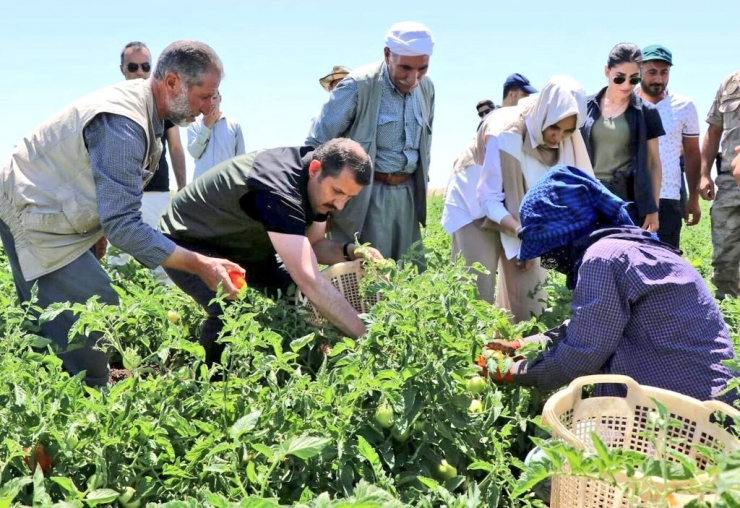 Vali Ayhan Turizm İçin Kolları Sıvadı