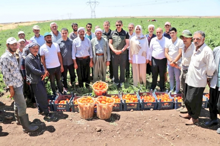 Vali Ayhan Turizm İçin Kolları Sıvadı