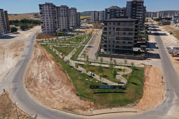 Pet Park 2, Halkın Hizmetine Sunuldu