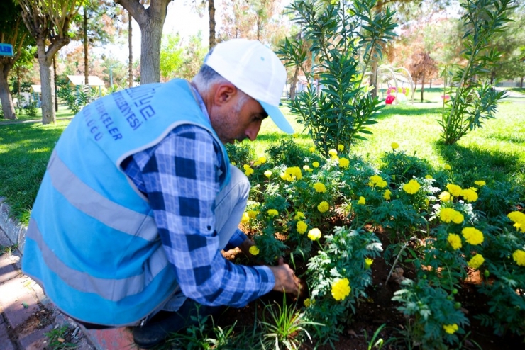 Eyyübiye Parklarında Peyzaj Düzenlemesi