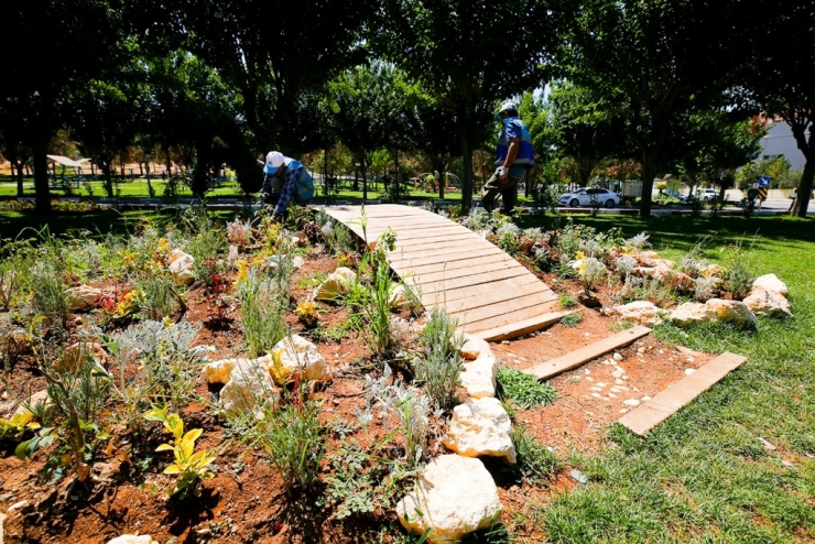 Eyyübiye Parklarında Peyzaj Düzenlemesi