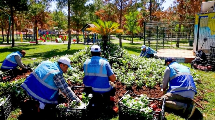 Eyyübiye Parklarında Peyzaj Düzenlemesi