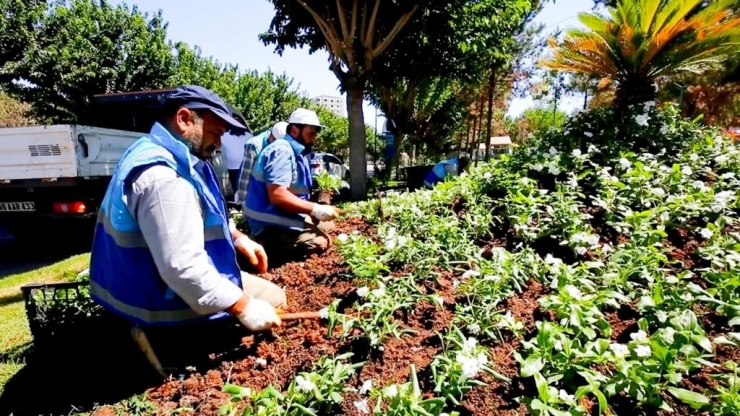 Eyyübiye Parklarında Peyzaj Düzenlemesi