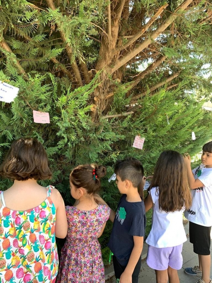 Gazi Şehrin Doğası, Eko Kahramanlara Emanet