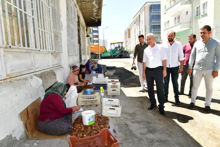 Çınar, Bostanbaşı’ndaki Değişim Ve Dönüşüm Yatırımlarını İnceledi