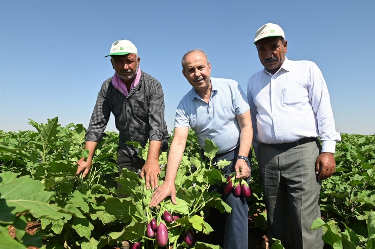 Oğuzeli’nde 62 Aileye Sürdürülebilir Geçim Kaynağı