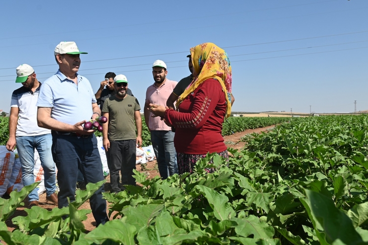 Oğuzeli’nde 62 Aileye Sürdürülebilir Geçim Kaynağı