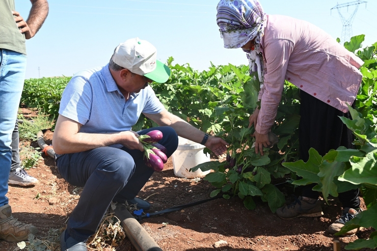 Oğuzeli’nde 62 Aileye Sürdürülebilir Geçim Kaynağı