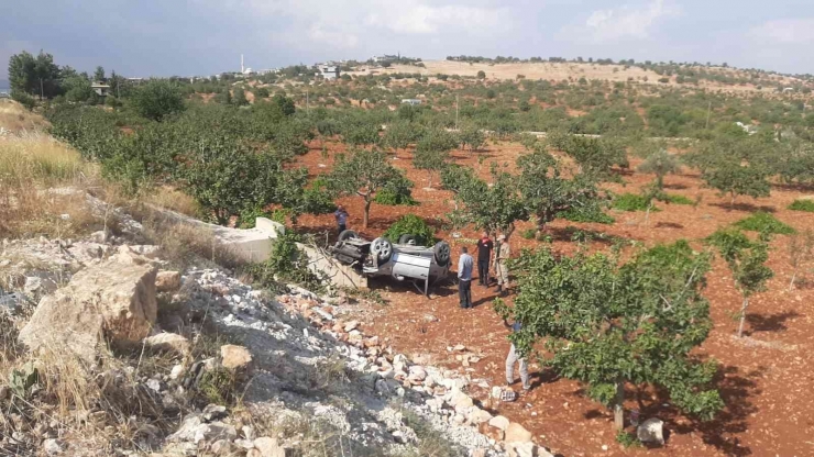 Otomobil Fıstık Bahçesine Yuvarlandı