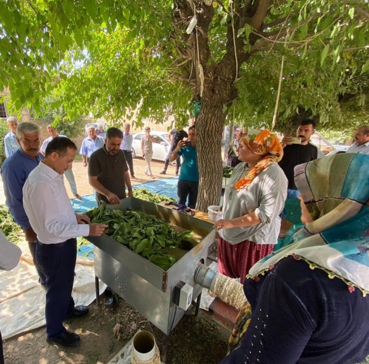 Ak Partinin Saha Çalışmaları Devam Ediyor