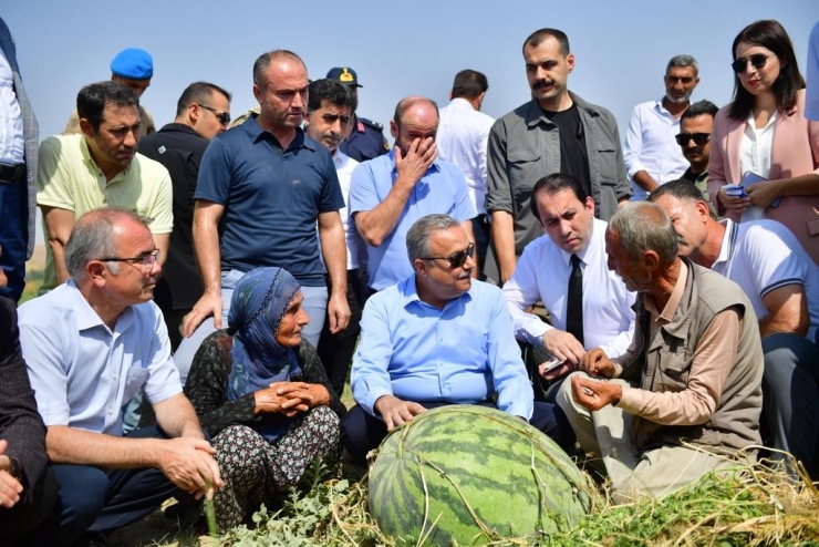 Diyarbakır’da 30 Bin Dekarda 121 Ton Karpuz Hasadı